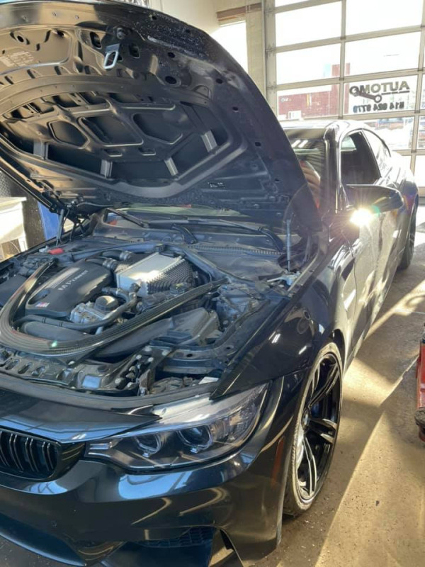 Professional diagnostics and engine service on a high-performance sports car.